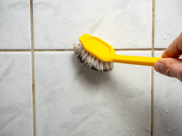 Best Mold Removal Near Me  in Evergreen, AL